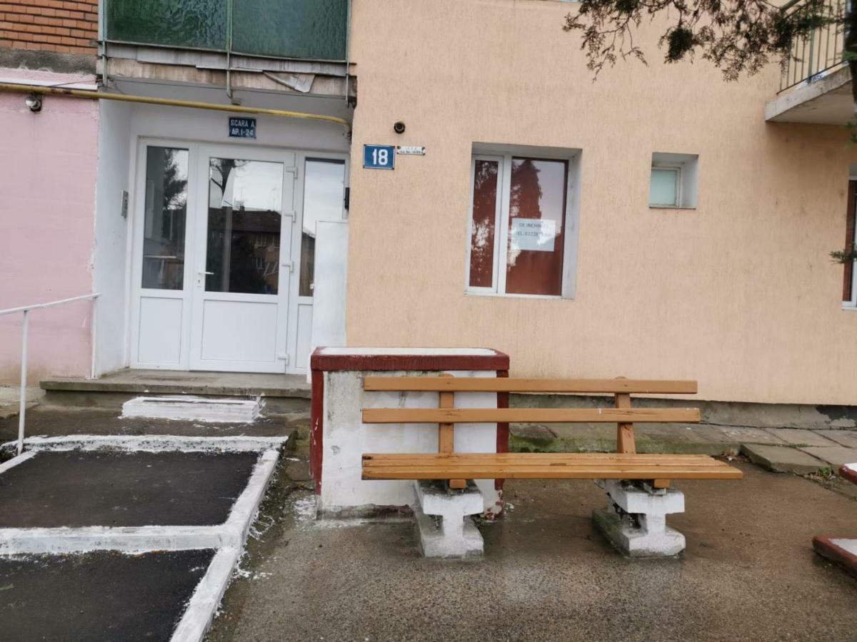 Central Studio Vajdahunyad Kültér fotó