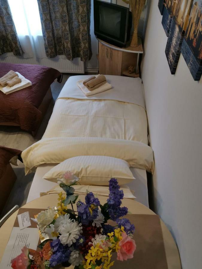 Central Studio Vajdahunyad Kültér fotó